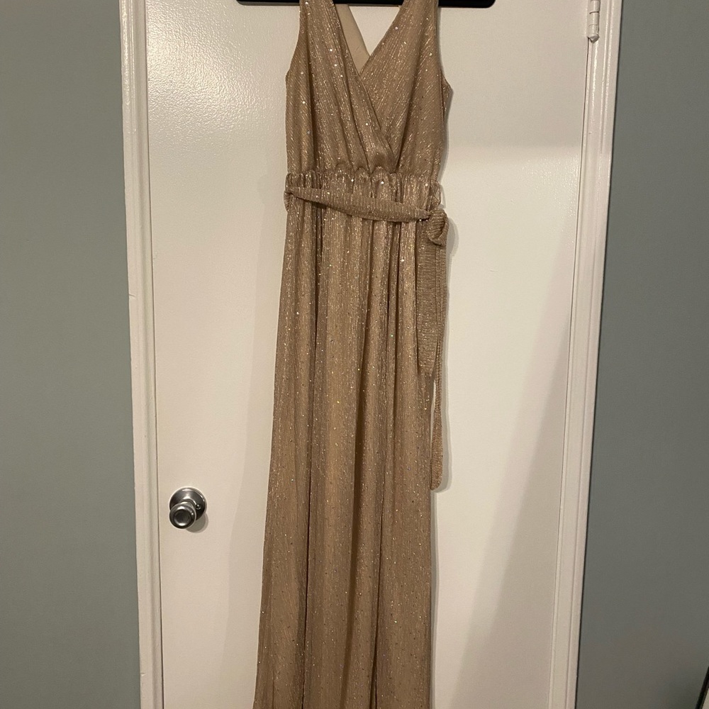 Gorgeous champagne sparkle dress